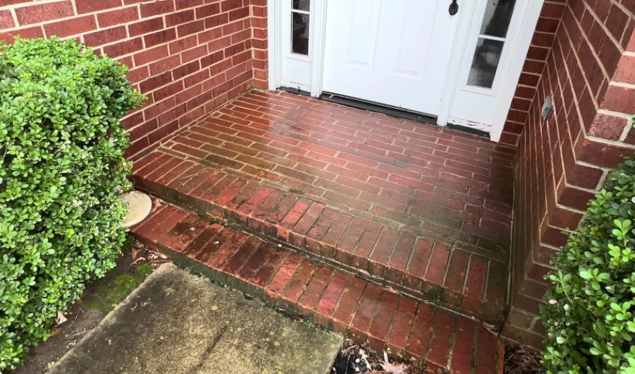 Home siding covered in algae and mildew before soft washing in Wilmington, NC